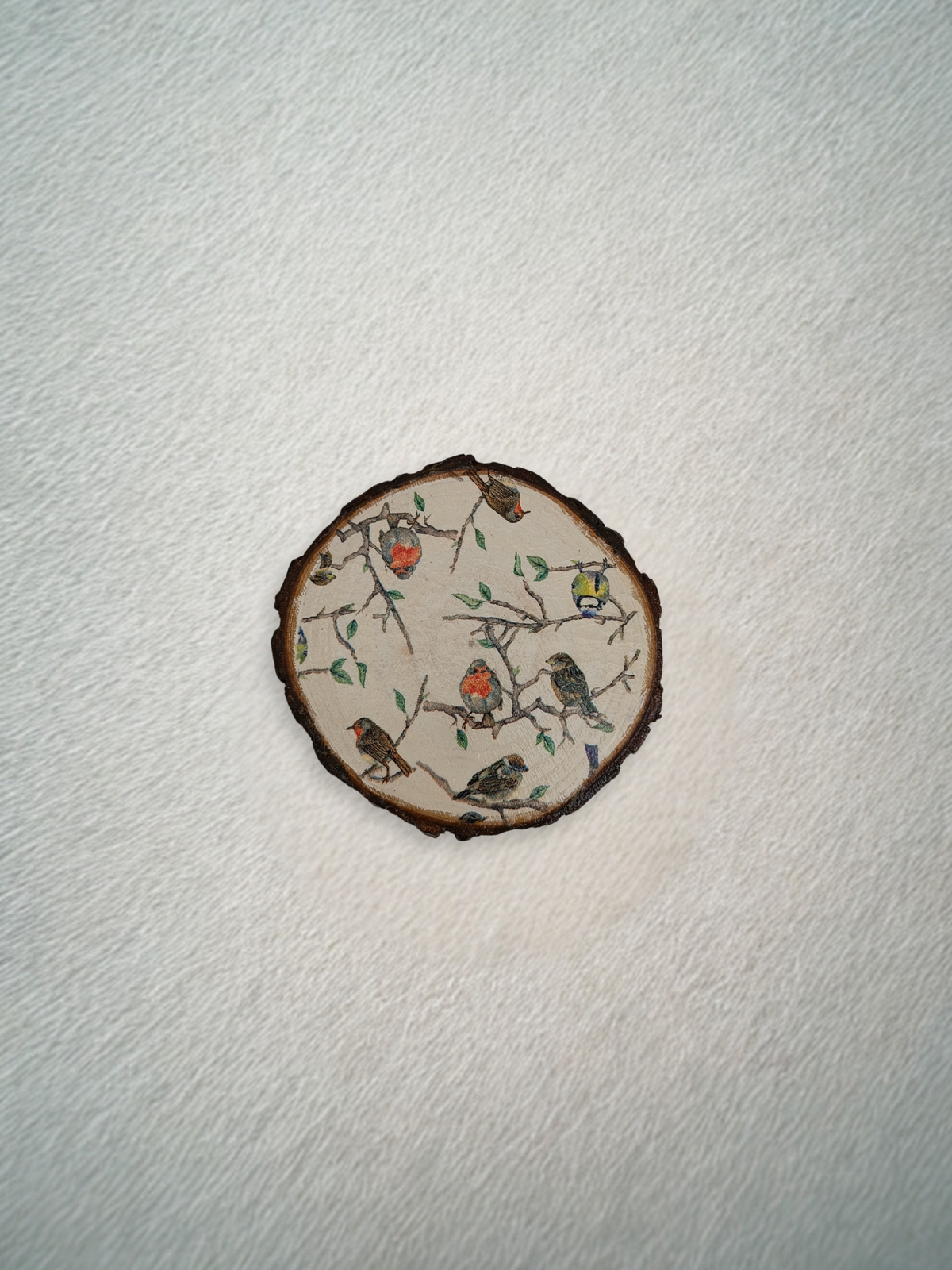 Coasters Bird
