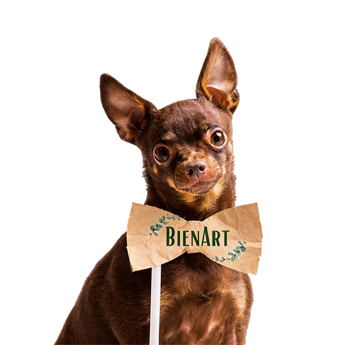 Wohnaccessoires (KOMMT BALD)